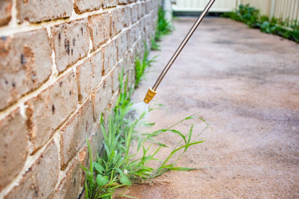 Spraying weed killer herbicide